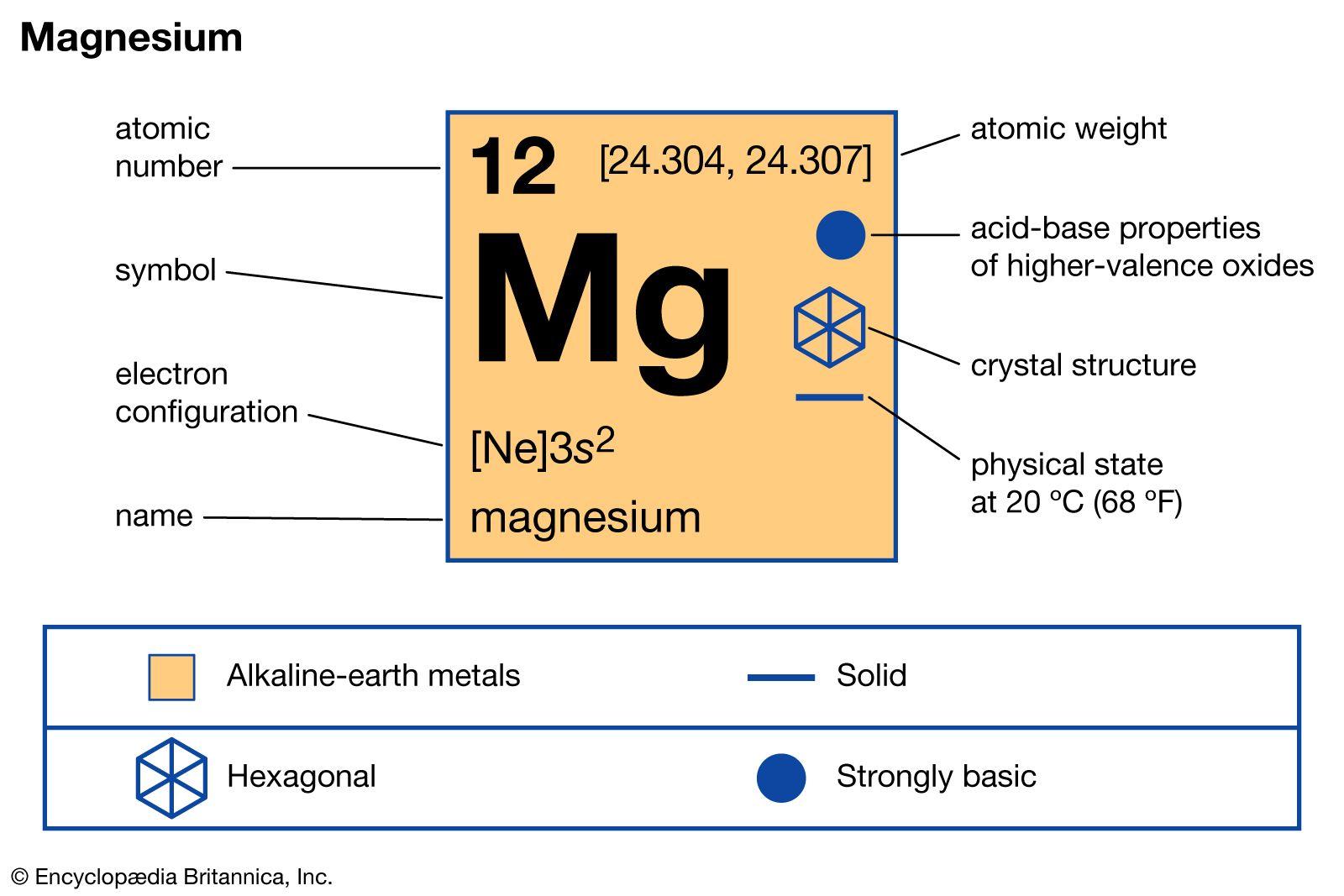 Top Magnesium-Rich Foods to Include in Your Diet