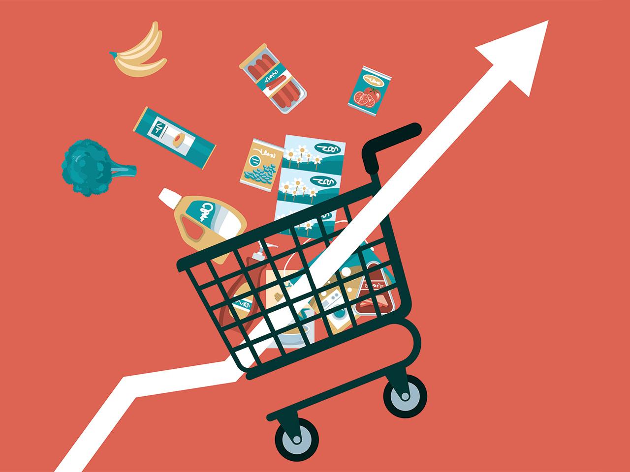 Understanding the Cost of Living and Food Prices in Germany