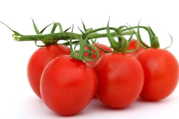 food near us